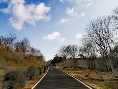 -宜兴龙背山森林公园