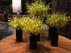 -新加坡文华东方酒店