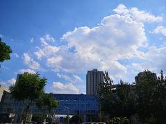 -山有花啡餐厅(常营总店)
