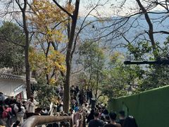 -灵顺寺