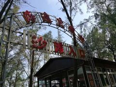 -西涌国际滨海旅游区