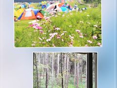 -武陵山森林公园