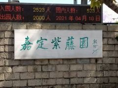 -嘉定紫藤园