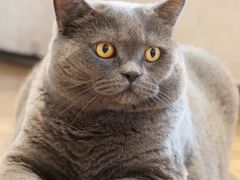 -Me Coffee下午茶艺术空间