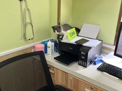 -瑞鹏宠物医院犬猫全科(真大分院)