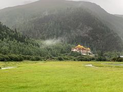 -稻城亚丁景区-冲古草甸