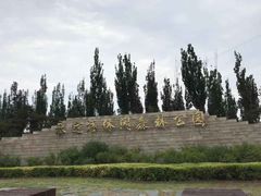 -永定河休闲森林公园