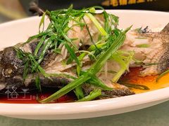 珍珠斑-龙溪海鲜酒家(溪涌店)