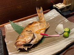 红睦鱼-炉匠炉端烧·酒(国金中心商场店)