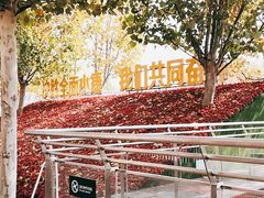 -民园广场