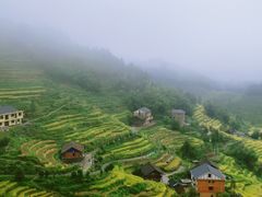 -紫鹊界梯田景区