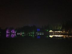 -秀丽东方