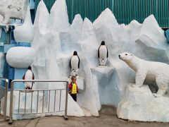 -白鹿仓冰雪海洋世界