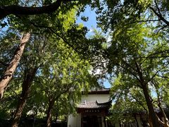 -郑和公园