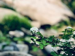 -碓臼峪自然风景区