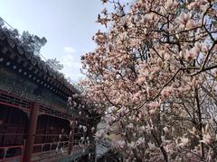 -潭柘寺景区
