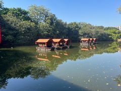 -侨美·唐荔园·40年地道粤菜