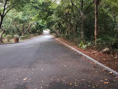 -三水森林公园