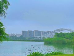 -澹台湖公园