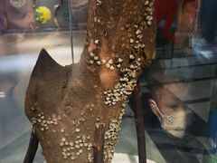 -上海昆虫博物馆