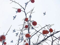 -素心小筑(后沙裕镇店)