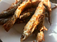 -官厅老勾渔馆(温泉店)