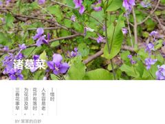 -孙武文化园-停车场