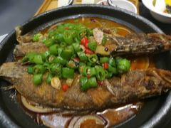 -东方红酒楼(知春路店)