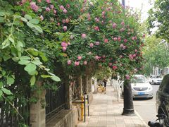 -天津五大道文化旅游区