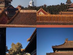 -故宫博物院(故宫)