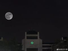 -糯米包油条(武汉大学店)