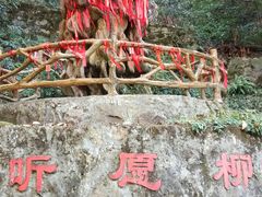 -燕子河大峡谷天坑仙境