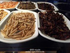 -京川野菌王(总店)