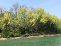 -天鹅湖体育公园