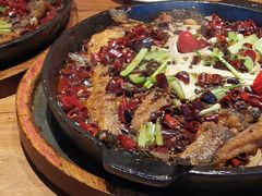 -老板恋上鱼(恒隆广场店)