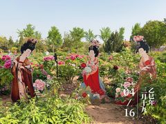 -曹州牡丹园