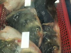 -潮信鱼头王(西环店)