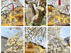 -杭州上天竺法喜讲寺