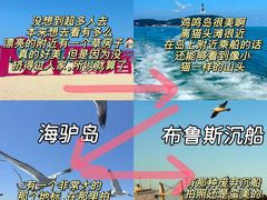 -巧克力渔家.小船海鲜胶东菜(万平口店)