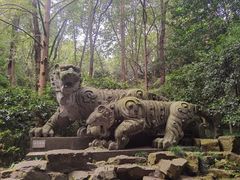 -虎跑公园
