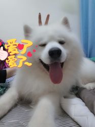 -花岐款式专研健康美甲沙龙
