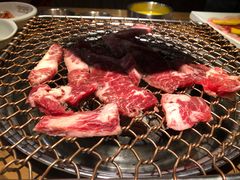 -农乐园炭火烤肉(世茂店)