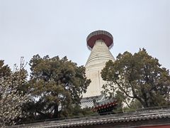 -妙应寺白塔