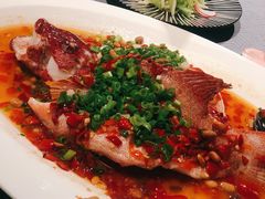 -皇朝会.经典传统粤菜(外滩店)