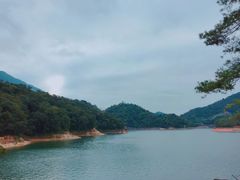 -广州市流溪河国家森林公园