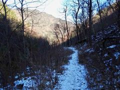 -终南山国家森林公园