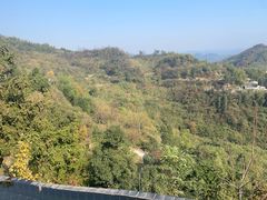 -长沙黑麋峰国家森林公园