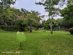 -晓港公园