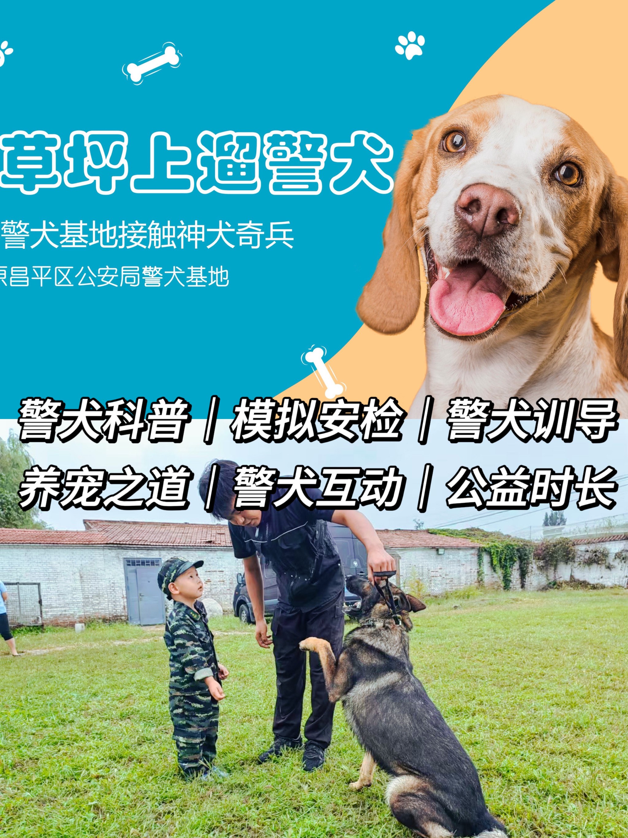 人狗激战警犬训练基地图片