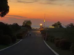 -西京湾花海